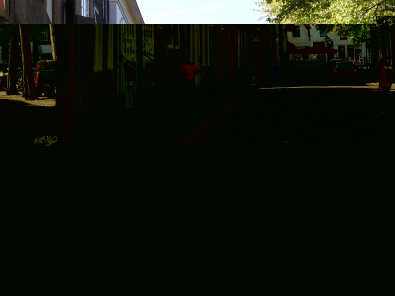 Zelande aout 2011_079.jpg